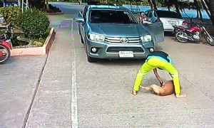 Lazy dog refuses to move from the middle of the road and has to be carried away