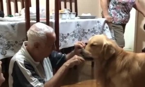 Great Grandfather Polishes the Pups Teeth