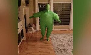 IMPOSSIBLE Try Not to Laugh Challenge