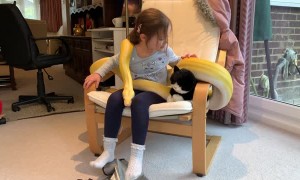 Little Girl and Python are Pals