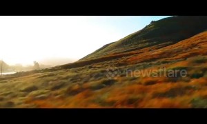 Stunning drone footage flies over California hills wildflower superbloom