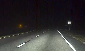 Self Driving Car Swerves to Save Bunny