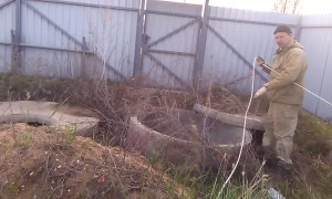 Kitty Rescued by Resourceful Russian