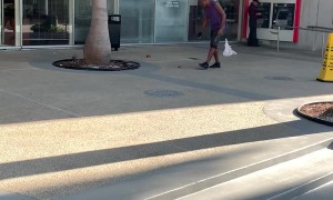 Breaking Windows at the Bank