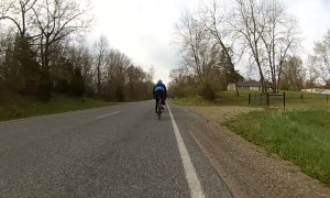 Close Encounters of the Bird Kind