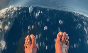 Unforgettable Dolphin Counter in Maldives