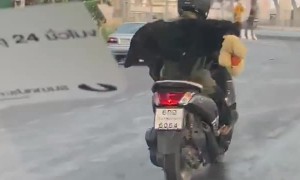 Dog Must Bring Stuffed Animal Along for the Ride
