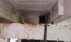 Huge python rescued after being trapped in Thailand home