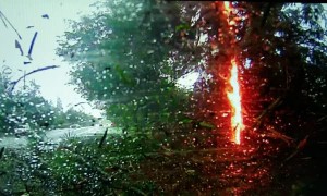 Lightning Strikes Tree, Causing Crash