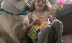 Dog Seems Scared of the Serenade