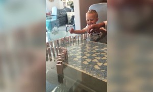 Grandpa gets Grandson Laughing with Dominoes