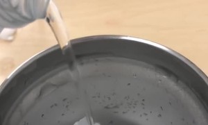 Water Freezing As It’s Being Poured