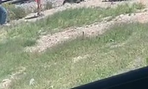 Sheriff Car Gets Smoked by Train