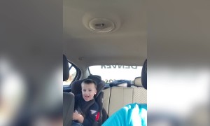 A Carseat Can't Keep this Kiddo From Dancing!