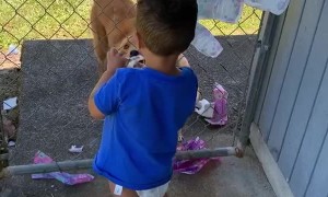 Adding Some Padding to the Fence