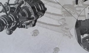 Feathered Friend Plays Peekaboo