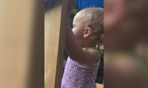 Cute Baby Girl is a Singing Star!