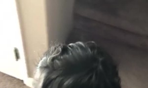 Kid Slides Down the Stairs