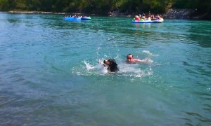 Dog's first swimming experience is absolutely priceless!