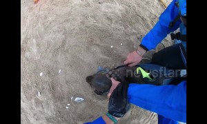 Kayaker in Namibia films himself rescuing multiple baby seals trapped in fishing nets