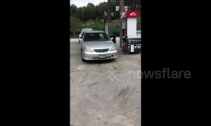 Owner runs out of US gas station to find impatient dog honking his car