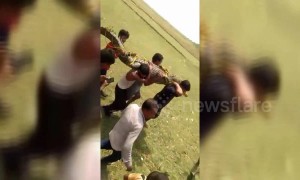 Huge 11-foot crocodile rescued by villagers in India after laying 59 eggs