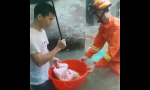 Firefighters rescue residents trapped by floods in China's Guangdong