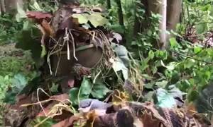 Camo Suit Leads to Unforgettable Nature Experience