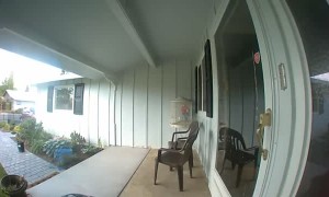 Pulling a Prank on the Porch Camera