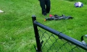 Cops Rescue Themselves from Tiny Snake