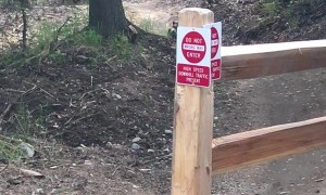 Mean Wolverine Has a Mouthful