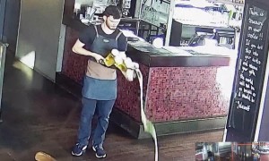 New Zealand bartender hilariously drops a tray holding several pints of beer