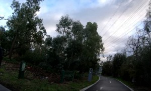 Pedestrian and Cyclist Have a Close Call