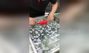 Mechanic uses hydrographics technique to apply printed designs onto car components