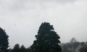 Winds Whip Up Debris Before Tornado Forms