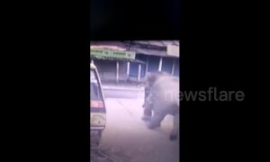 Security cam captures moment rampaging elephant rams tuk-tuk
