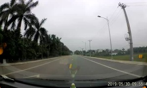 Driver Narrowly Avoids Kids Darting Out into Street