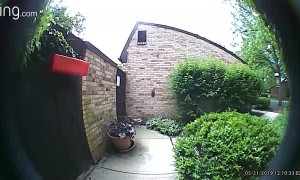 Mail Carrier Pepper Sprays Dog