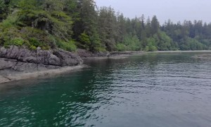 Filming Paradise with Precision