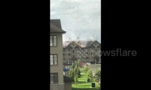 Incredible moment high winds strip roof of Ontario building