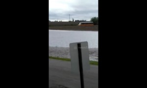 Buoyant bus braves flooded Illinois street to transport school kids