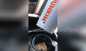 US driver not impressed after mother's earrings pierce coffee cup