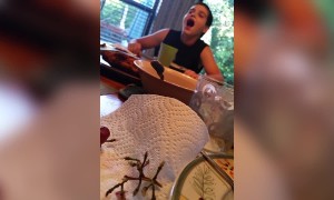 Blackberry Basketball