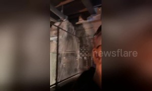 US storm floods bridge as Governors Ball festival-goers sprint towards exit