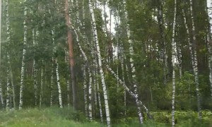 Massive Explosion Captured at Russian Plant