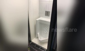 Refrigerated toilets? Bizarre fridge-themed bathroom spotted in Chinese restaurant
