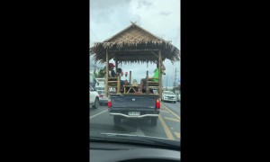 Bizarre moment pet dog and 4 men ride in bamboo hut on wheels