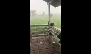 Oh hail no: enormous egg-sized hail bombards Romanian backyard