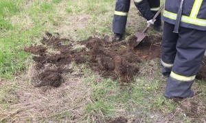 Saving a Puppy Stuck in a Sewer