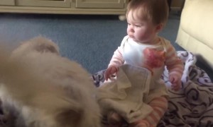 Puppy and Baby Love Each Other!